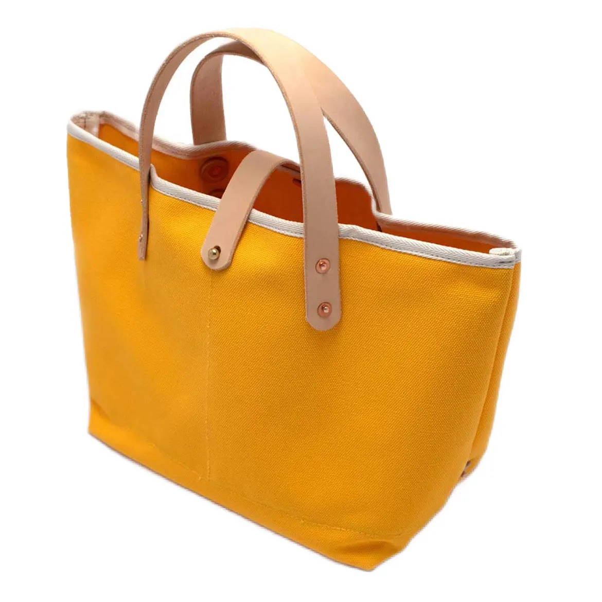 Canvas Mini Tote - Parrot