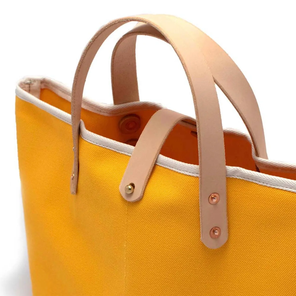Canvas Mini Tote - Parrot