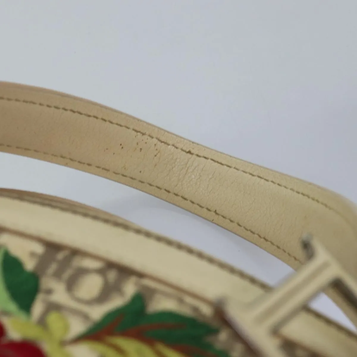 CHRISTIAN DIOR Trotter Canvas Flower Embroidery Hand Bag Beige Auth ep4471