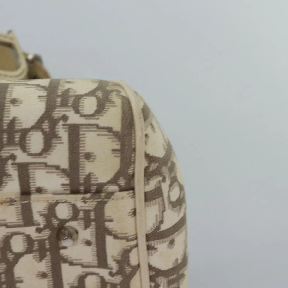 CHRISTIAN DIOR Trotter Canvas Flower Embroidery Hand Bag Beige Auth ep4471