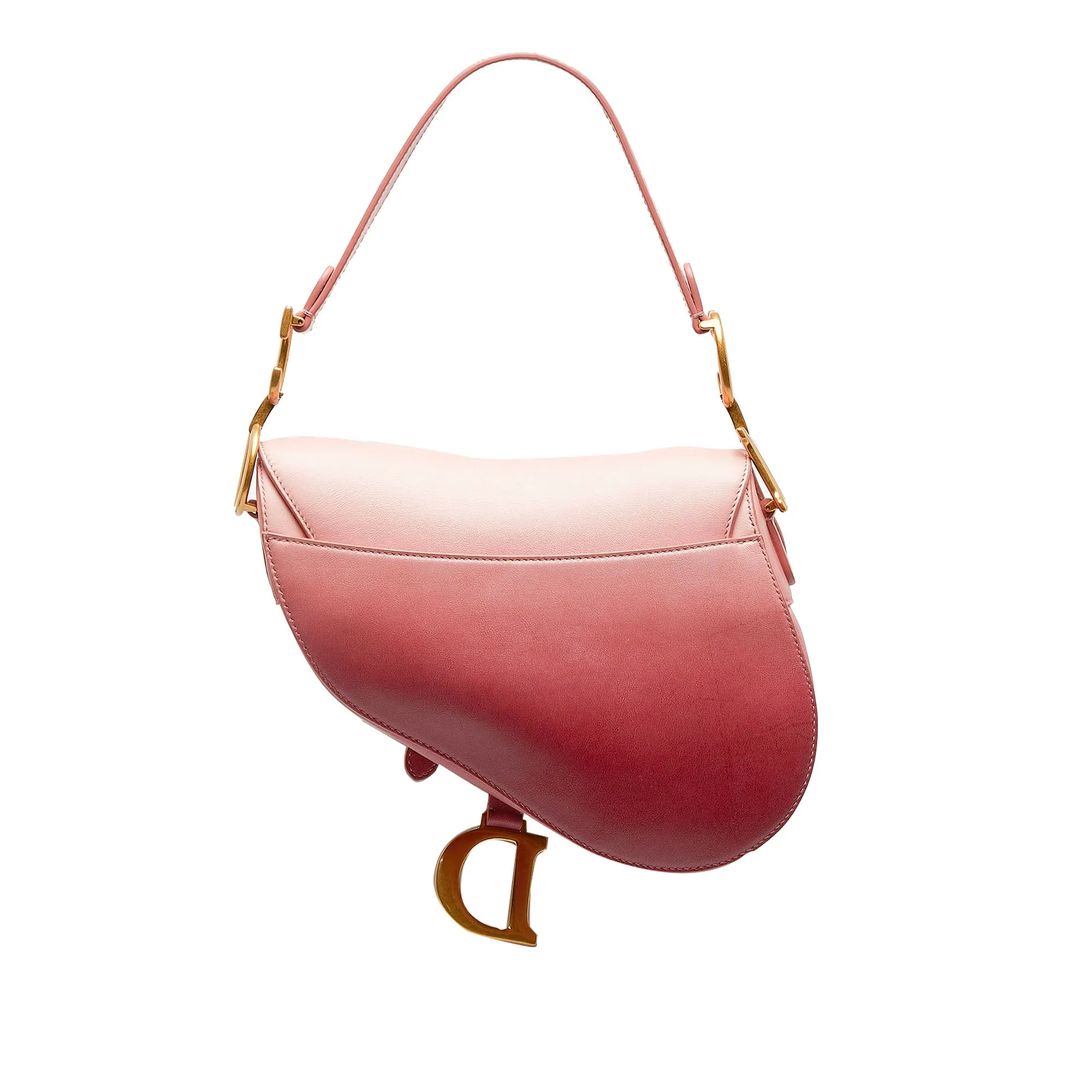 DIOR Ombre Saddle Shoulder Bag