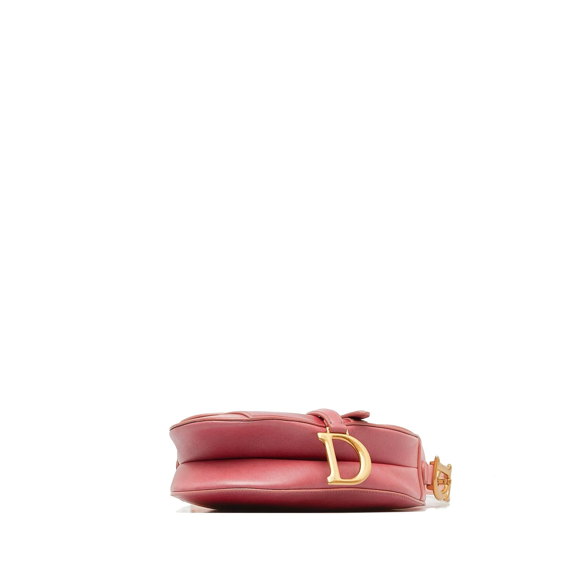 DIOR Ombre Saddle Shoulder Bag