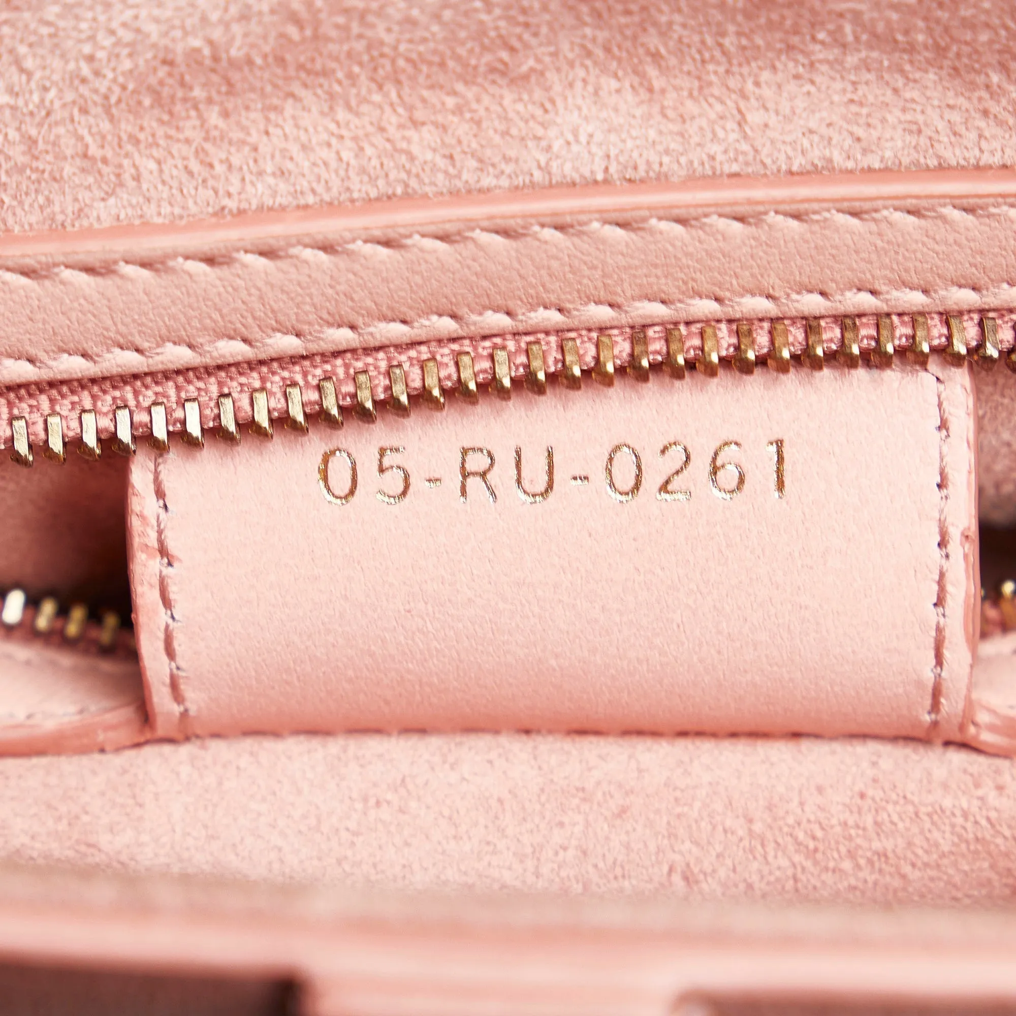 DIOR Ombre Saddle Shoulder Bag